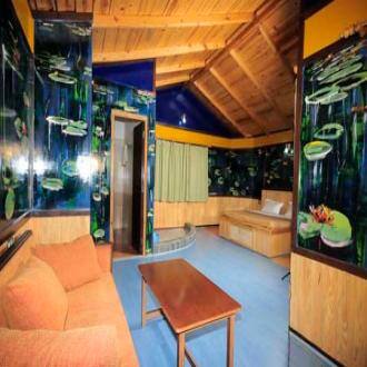 TG Stays Kilbury Road, Nainital 3